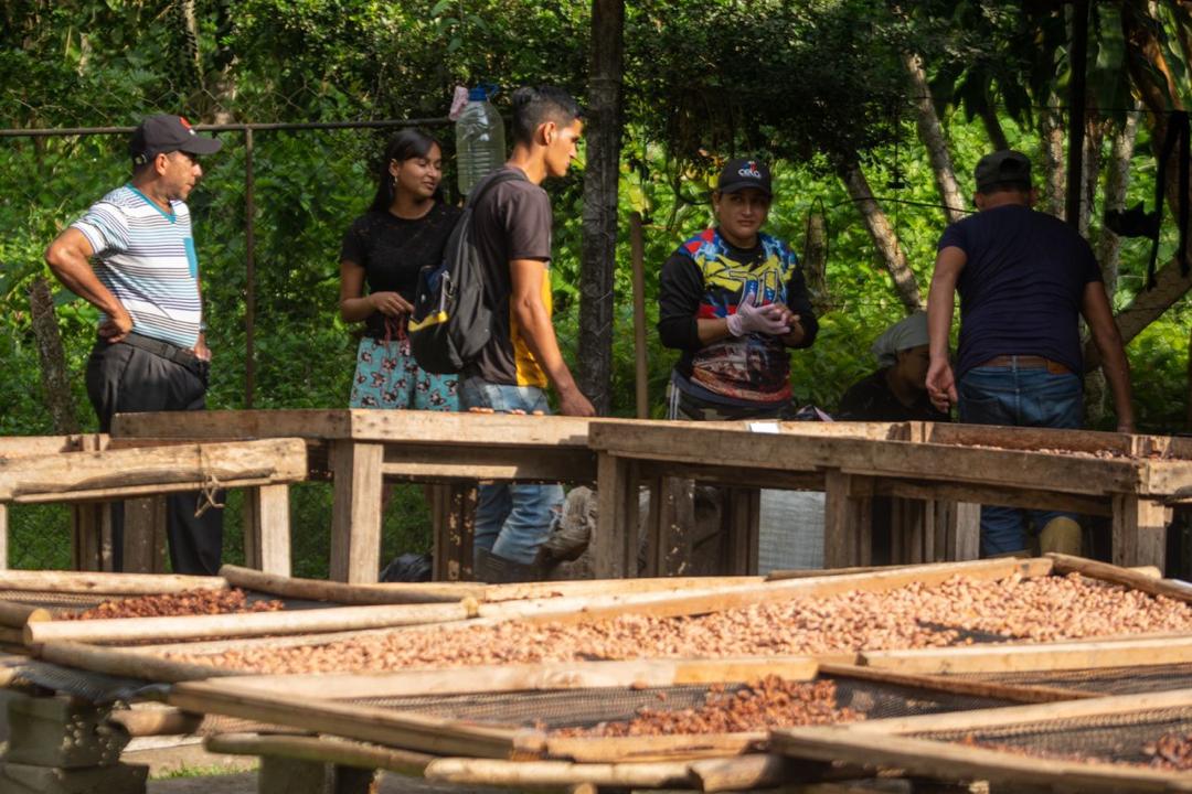 El Cacao 2